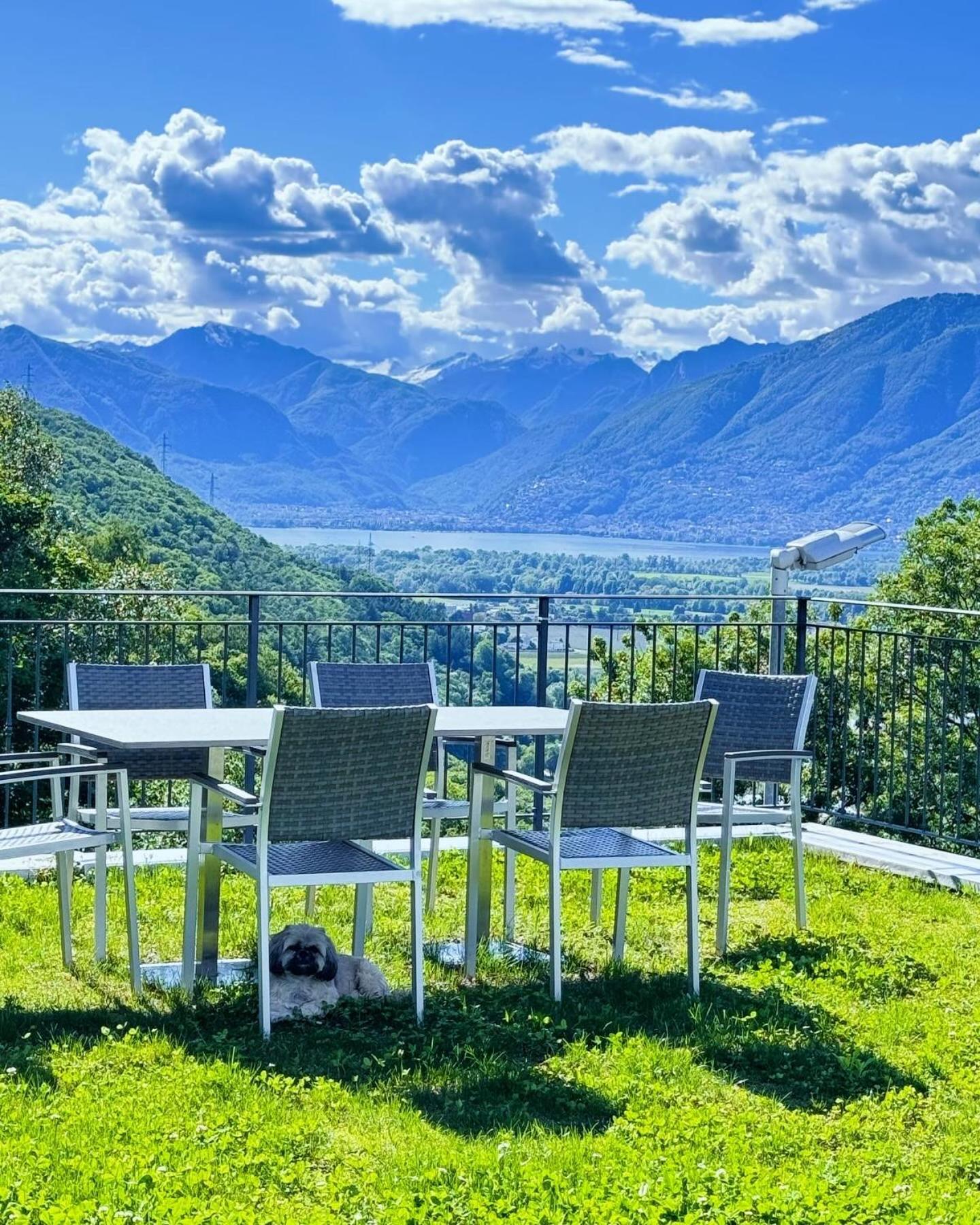 Agriturismo Viva Bacco Gambarogno Exterior foto