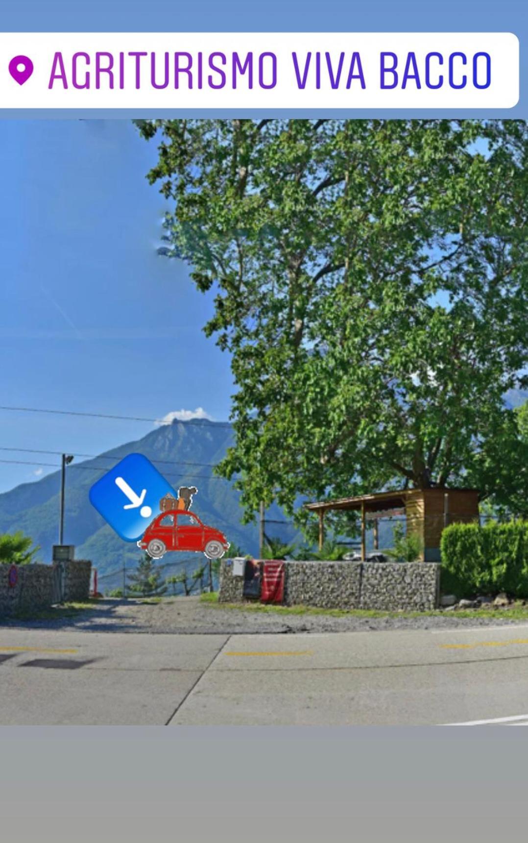 Agriturismo Viva Bacco Gambarogno Exterior foto