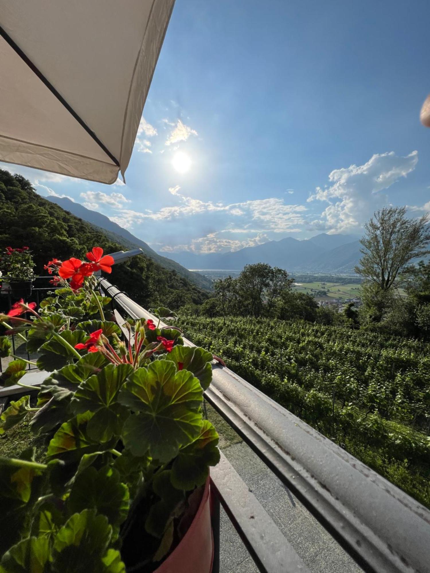 Agriturismo Viva Bacco Gambarogno Exterior foto
