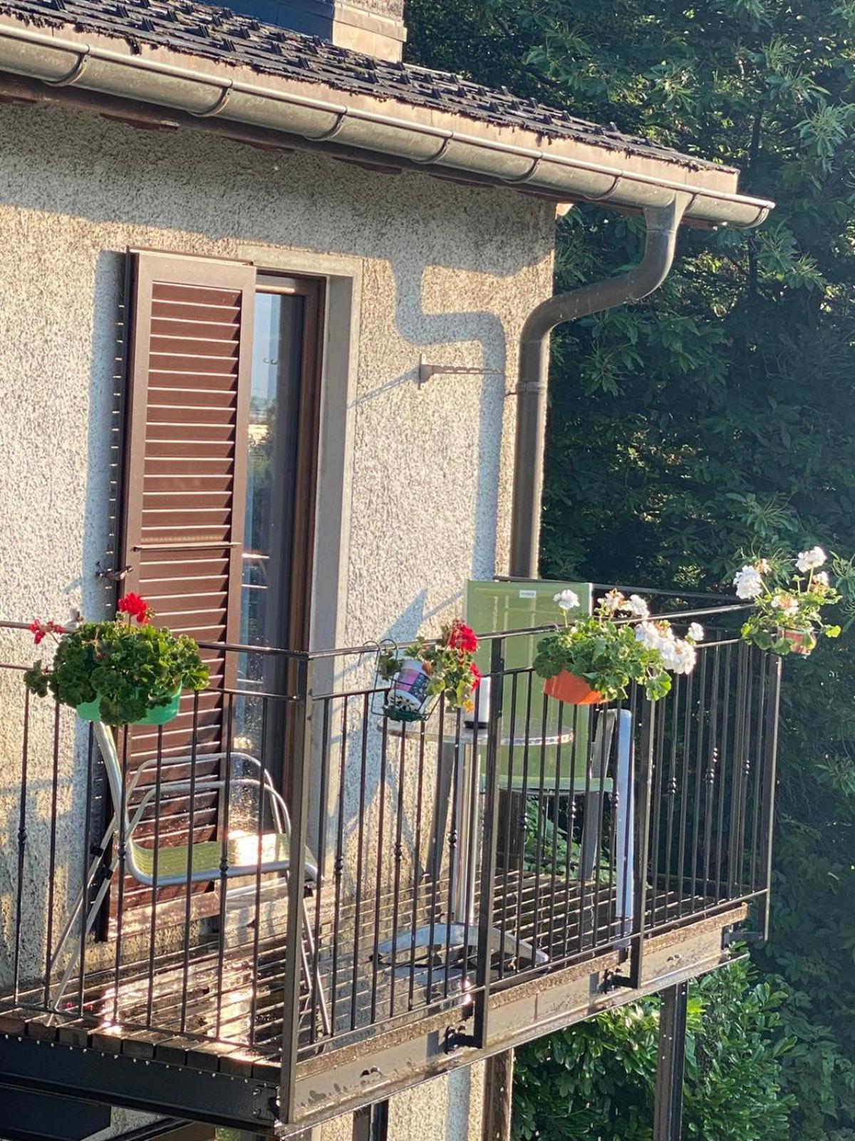 Agriturismo Viva Bacco Gambarogno Exterior foto