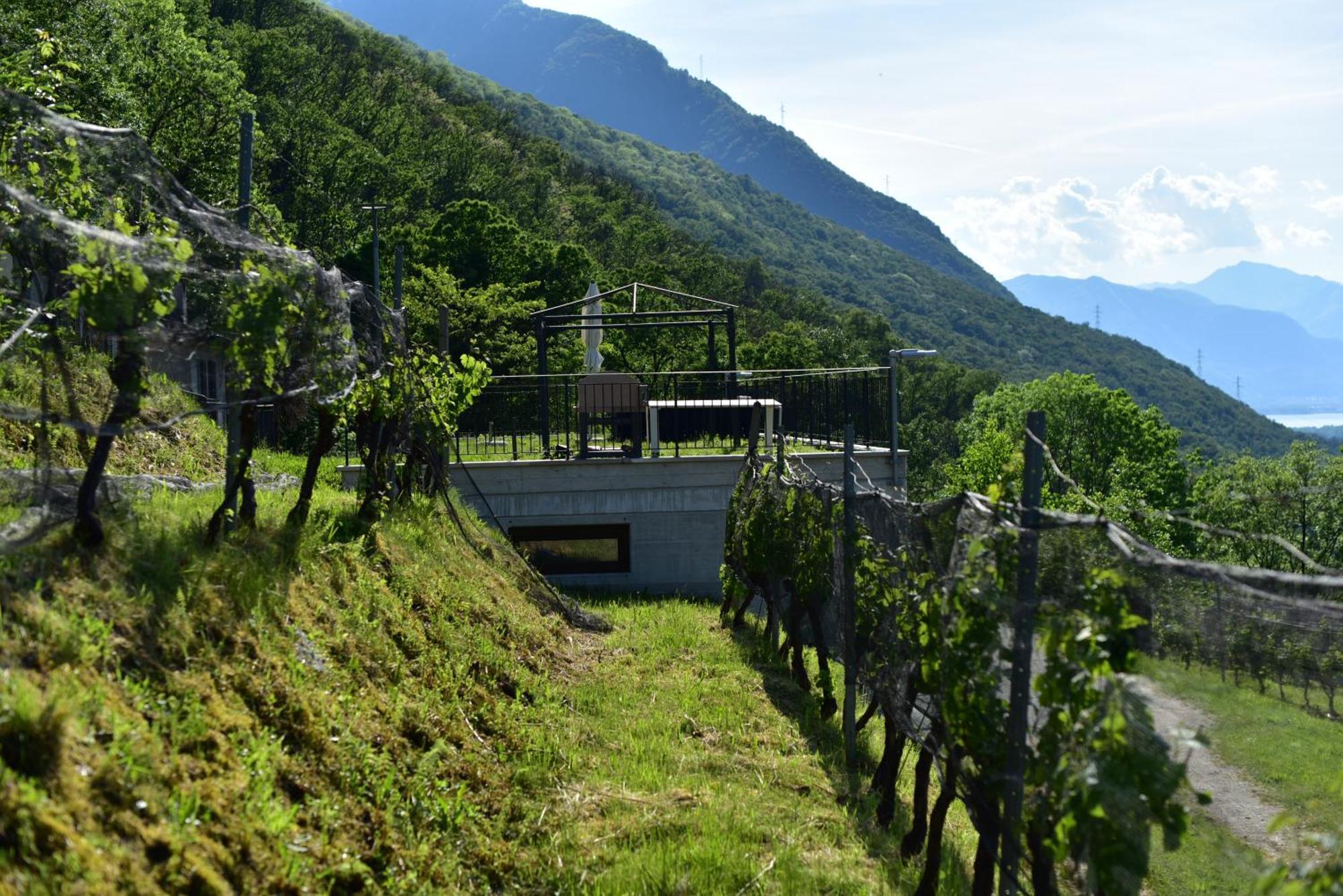 Agriturismo Viva Bacco Gambarogno Exterior foto
