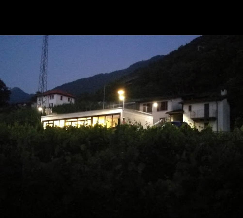 Agriturismo Viva Bacco Gambarogno Exterior foto