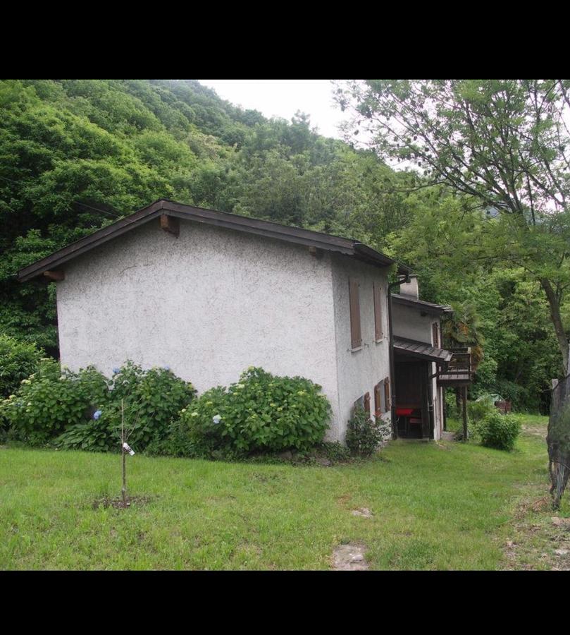Agriturismo Viva Bacco Gambarogno Exterior foto