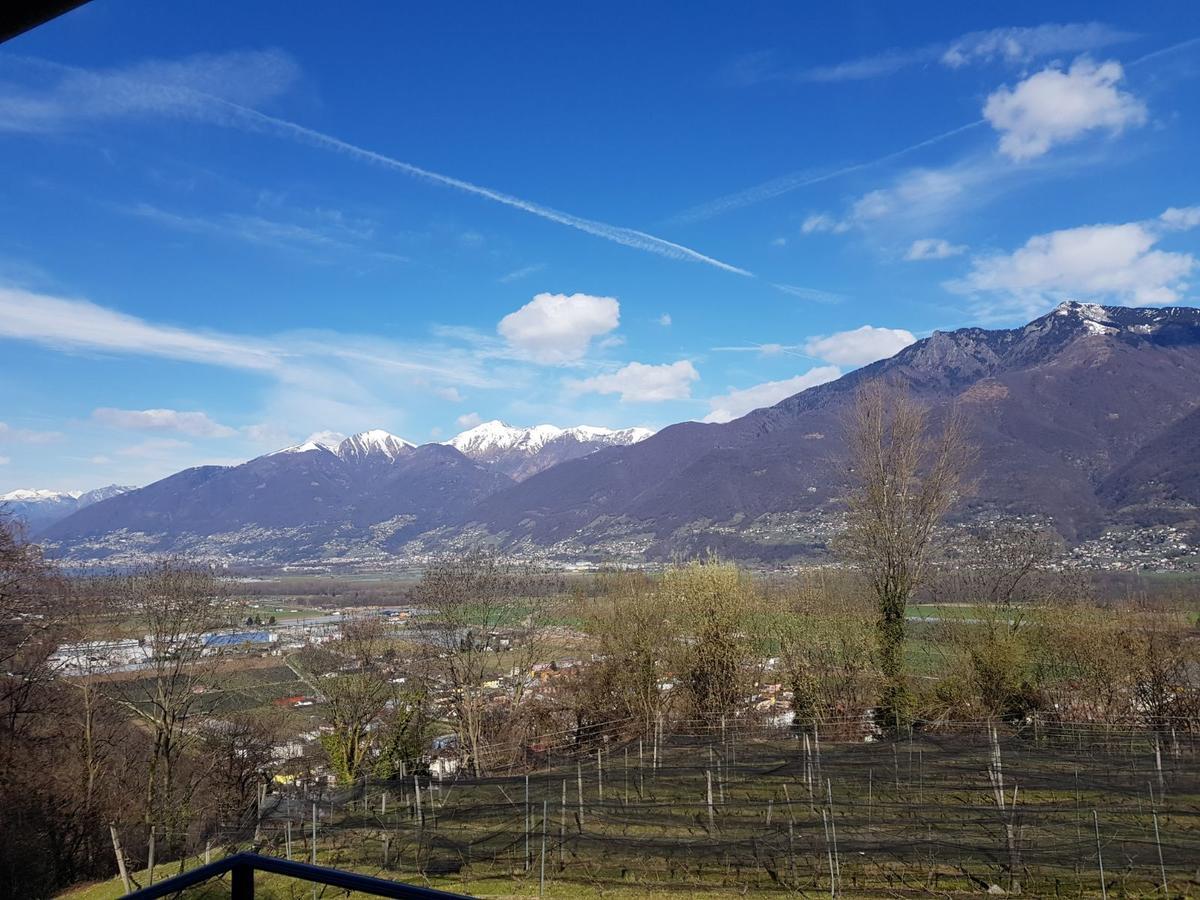 Agriturismo Viva Bacco Gambarogno Exterior foto