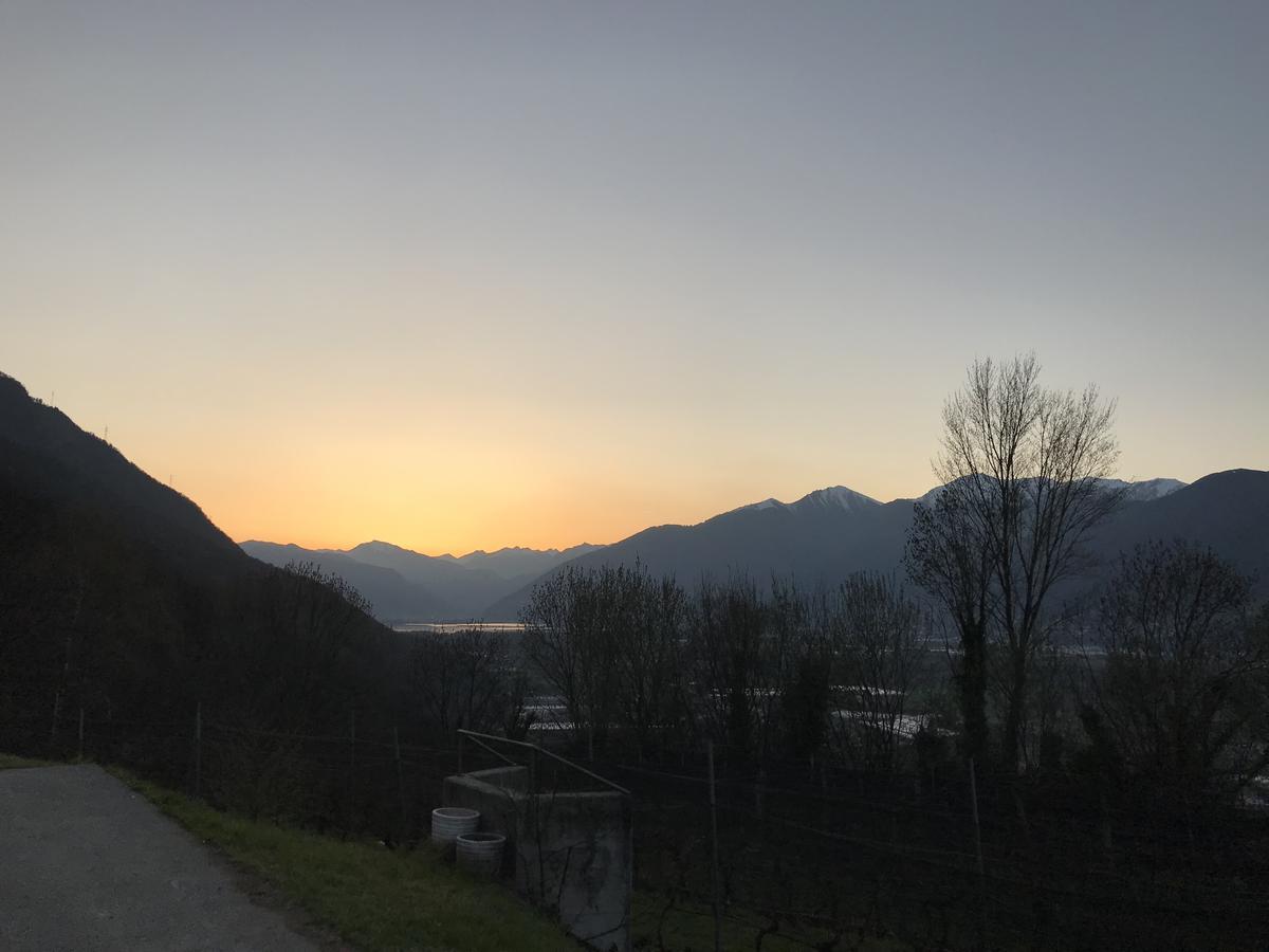Agriturismo Viva Bacco Gambarogno Exterior foto